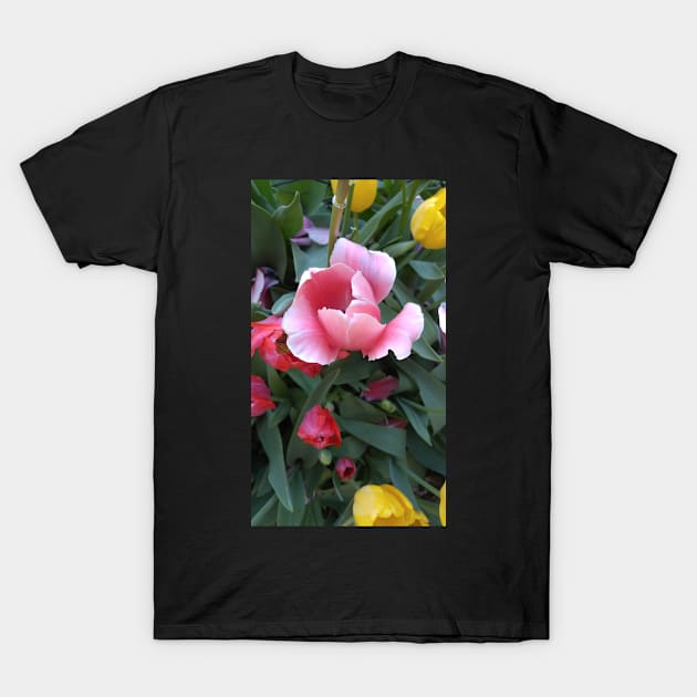 Pink Tulip, Red Tulip T-Shirt by Elizabeths-Arts